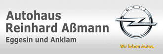 assmann logo